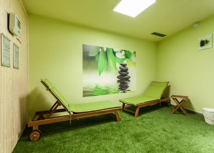 酒店 瑞斯卡塞尔金色郁金香酒店 卡塞尔