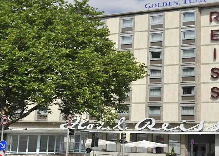 Golden Tulip Reiss